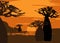 Sunset with landscape of baobab trees. Forest of Boab or Baobab Tree background. Vector cartoon illustration, Andasonia tree sign