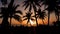 Sunset landscape. beach sunset. palm trees silhouette on sunset tropical beach