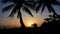 Sunset landscape. beach sunset. palm trees silhouette on sunset tropical beach