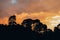 Sunset landscape in the forest near the Nevado de Toluca Volcano, the clouds are painted in reddish, violet, and orange colors.