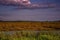 Sunset on the Landscape at Saint Marks, Florida