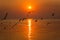 Sunset Landscape View of Paradise Tropical Bangpoo Beach over the Sea with Seagull