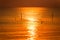 Sunset Landscape View of Paradise Tropical Bangpoo Beach over the Sea with Seagull