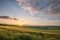 Sunset landscapes over the green grassland and rolling hills in Tuscany