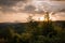 Sunset in Las Batuecas Natural Park with the France crag in the background, Salamanca, Spain