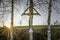 Sunset and last sunbeams with a way cross in the Bavarian forest