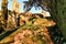 Sunset in leafy forest with colossal rock formations in Sanctuary of Penha in Guimaraes