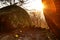 Sunset in leafy forest with colossal rock formations in Sanctuary of Penha in Guimaraes