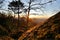 Sunset in leafy forest with colossal rock formations in Sanctuary of Penha in Guimaraes