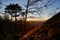 Sunset in leafy forest with colossal rock formations in Sanctuary of Penha in Guimaraes