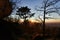 Sunset in leafy forest with colossal rock formations in Sanctuary of Penha in Guimaraes