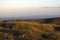 Sunset light on spinifex clumps, Stokes Hill Lookout, Flinders` Ranges, SA, Australia