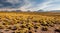 Sunset light on volcanos of Atacama Desert. Mountains southern from San Pedro de Atacama. Stunning scenery in evening sunlight at