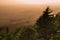 Sunset lights the trees, heather and rocks at the Roaches in the Peak District