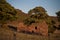 Sunset lights the trees, heather, rocks and ruined barn at Roach End.