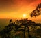 Sunset at the Lomsak cliff on Phu Kradung national park