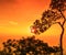 Sunset at the Lomsak cliff on Phu Kradung national park