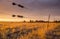 Sunset Looking Through Wire Livestock Fence with Tensioners