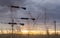 Sunset Looking Through Wire Livestock Fence with Tensioners