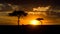 Sunset in the Maasai Mara National Park. Africa. Kenya.