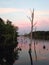 Sunset Manasquan Reservoir