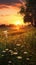 Sunset on meadow golden hours background