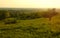 Sunset Meadow with Path to Distant Village