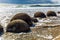 Sunset. Moeraki boulders