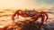 Sunset Mood: Photorealistic Crab On The Beach