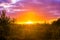 Sunset in a moorland landscape with pink nacreous clouds, a rare winter weather phenomenon