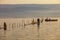 At sunset a motorboat between poles and nets for the farming of mussels and eels in lake Varano. Gargano promontory