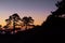 Sunset in mountain shelter in the Sierra de Guadarrama National Park. Backlit pine trees silhouette.