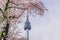 Sunset at Namsan Tower in Seoul,South Korea