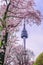 Sunset at Namsan Tower in Seoul,South Korea