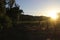 Sunset On Napa Valley Vineyard