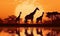 sunset nature animal giraffe safari elephant wild africa wildlife silhouette. Generative AI.