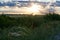 Sunset in nature, trees, meadows, scarlet poppies