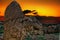 Sunset from Nemrut Mountain, Komagene Kingdom, AdÄ±yaman, Turkey