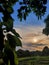 Sunset next to the leaves of trees.