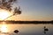 Sunset at Noosa River