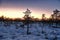 Sunset observing over forest and fields