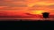 Sunset at the Oceanside California Beach with Lifeguard Tower.