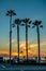 Sunset by Oceanside Pier, Palms and the Pacific Oceanin the famous surf city in California USA