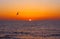 Sunset, Oceanview, La Jolla Cove, California