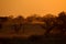 Sunset at Okaukeujo waterhole, Namibia