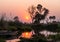 Sunset in the Okavango Delta