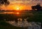 Sunset in the Okavango Delta