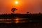 Sunset in the Okavango Delta