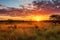 Sunset in the Okavango Delta - Moremi National Park in Botswana, Sunrise over the savanna and grass fields in central Kruger