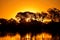 Sunset in the Okavango delta at sunset, Botswana